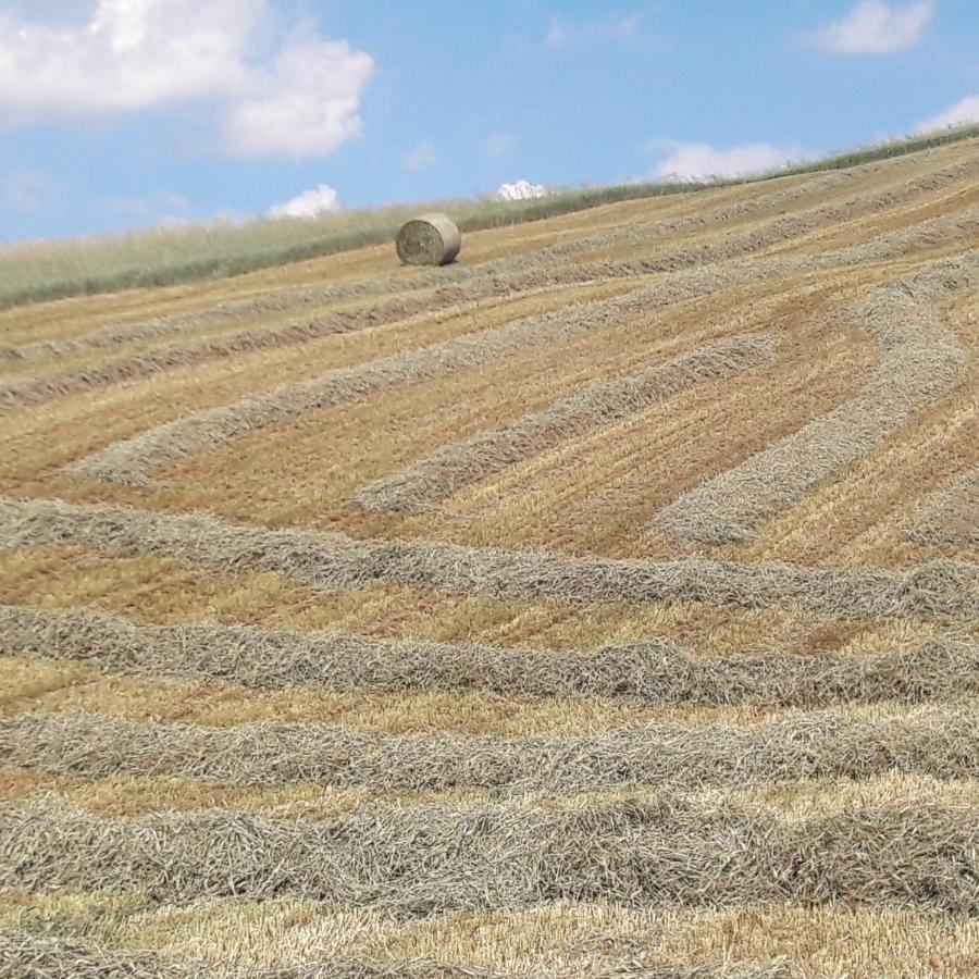 San Vittore  Agriturismo Il Colore Del Grano מראה חיצוני תמונה