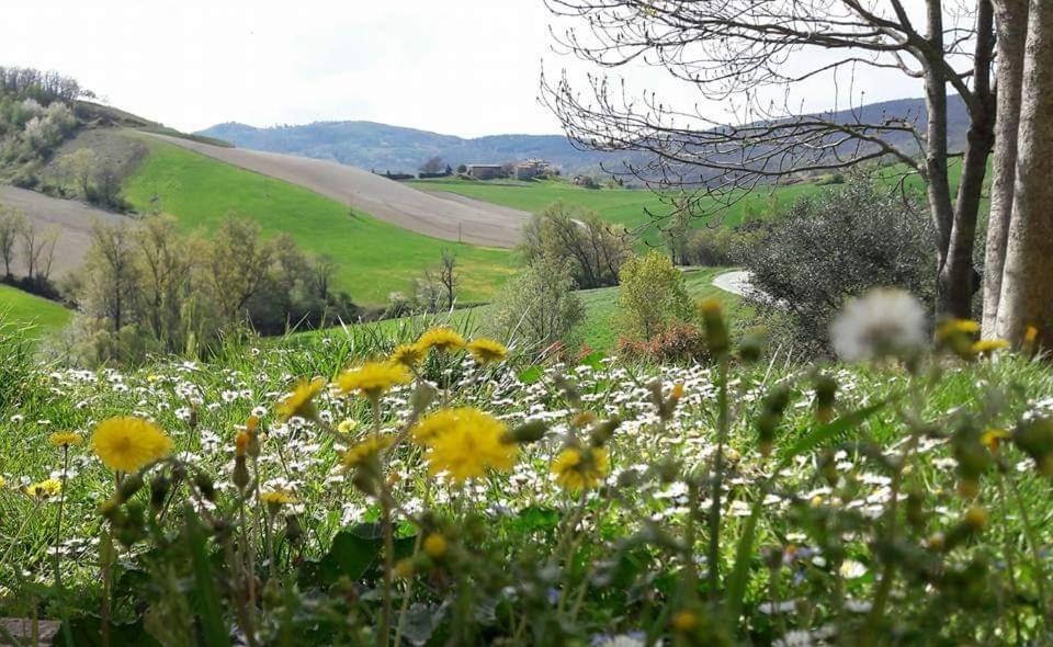 San Vittore  Agriturismo Il Colore Del Grano מראה חיצוני תמונה