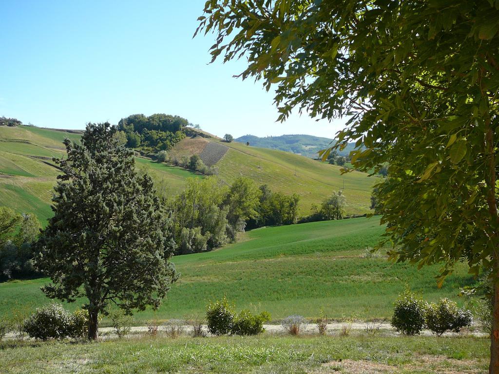 San Vittore  Agriturismo Il Colore Del Grano מראה חיצוני תמונה