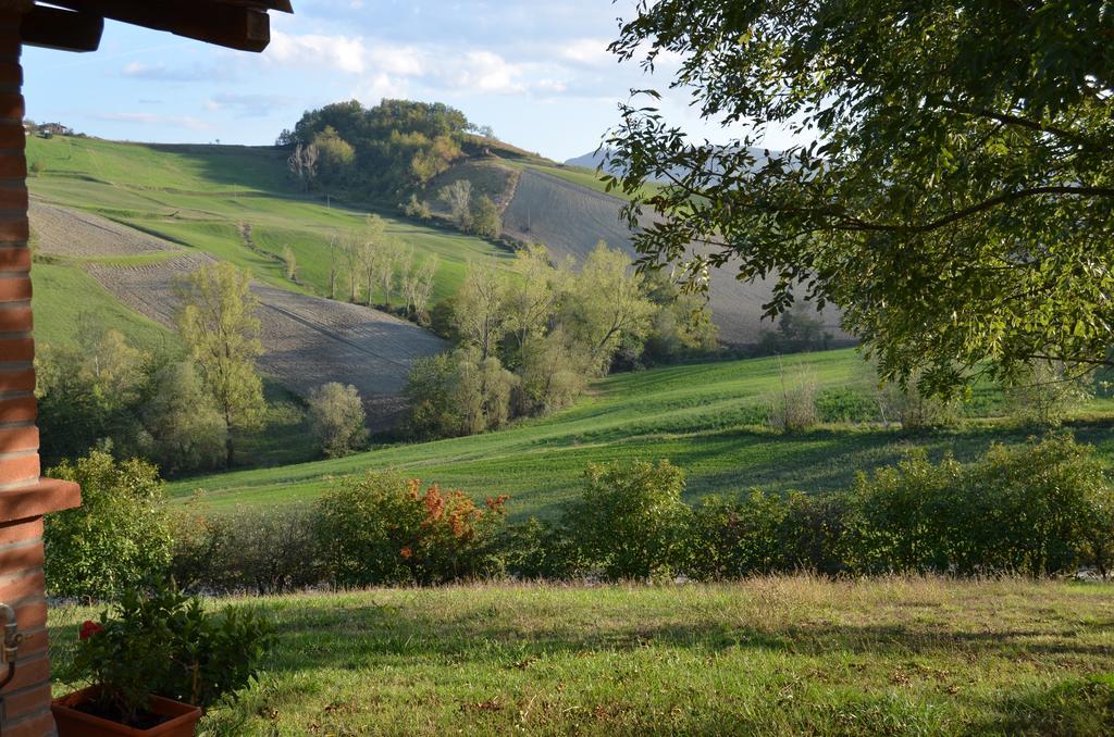 San Vittore  Agriturismo Il Colore Del Grano מראה חיצוני תמונה